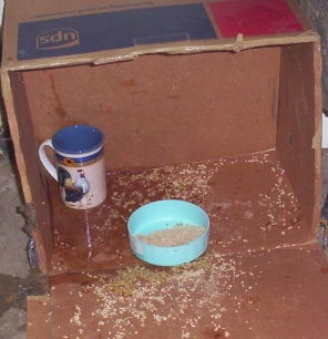 Eden Has Eaten