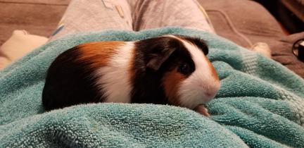 Kevin Bacon 2026-07-30