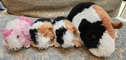 Ty Heart Guinea Pig Beanies