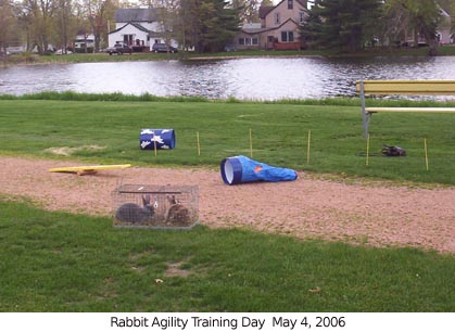 rabbitagilitytraining1 2006-05-04.jpg
