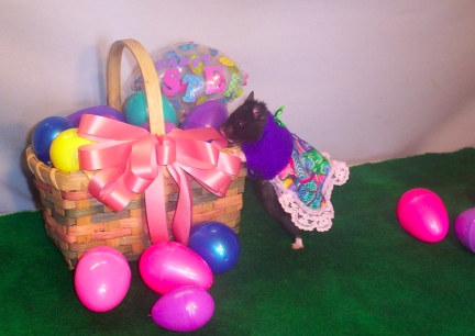 Easter Baskets for Coal